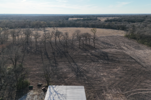 land-clearing-1_original