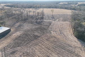 land-clearing-2_original