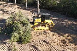 land-clearing-4_original