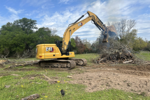 landclearing-46_original