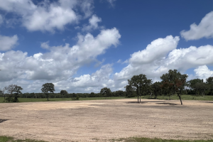 landclearing-47_original