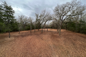 forrestry-mul-5_original